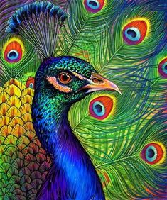 a painting of a peacock with lots of feathers