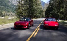 two red sports cars driving down the road in front of some pine trees and mountains