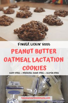 Oatmeal Lactation Cookies, Dairy Free Lactation Cookies, Lactation Cookie Recipe, Lactation Cookie, Bake Easy