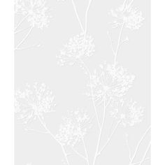 a wallpaper with white flowers on the top and bottom half of it, against a light gray background