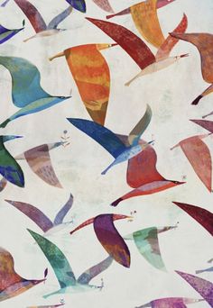 colorful birds are flying in the sky together