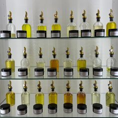 many different bottles are lined up on glass shelves with gold statues in the top and bottom