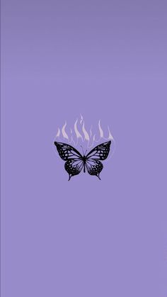 a black and white butterfly on a purple background