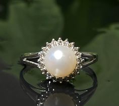 a white pearl ring sitting on top of a green leafy surface with its reflection in the water