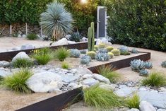 a garden filled with lots of plants and rocks