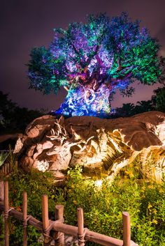 the tree of life at disney's animal kingdom is lit up with colorful lights