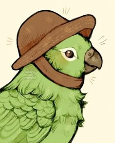 a green bird with a hat on its head