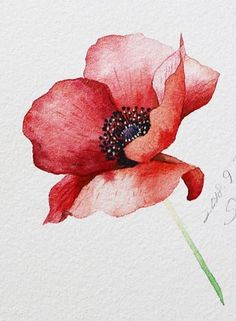 a watercolor painting of a red flower