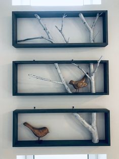 three shelves with birds and branches on them