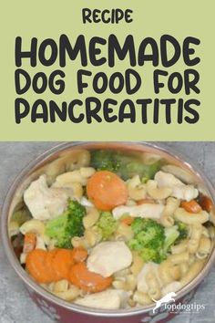 Recipe: Wheat Pasta and Chicken Food for Dogs with Pancreatitis Dog Food Recipes Homemade, Holistic Dog Food, High Protein Dog Food, Food Recipes Homemade, Garlic Health Benefits, Food For Dogs, Garlic Benefits