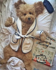 a brown teddy bear sitting on top of a bed next to a book and pillow