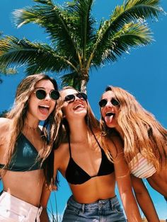 three beautiful young women standing next to each other near a palm tree on the beach