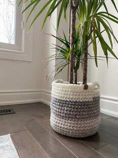 a large potted plant sitting on top of a wooden floor next to a window