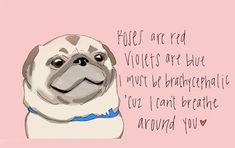 a drawing of a pug wearing a blue collar with words written on the side