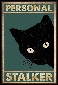 a black cat with yellow eyes is featured in this poster