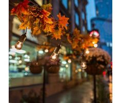 some lights hanging from the side of a building with autumn leaves on them and buildings in the background