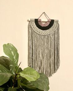 a potted plant next to a white wall with a black and grey tassel hanging from it