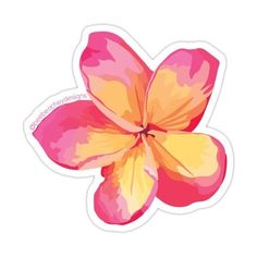 an orange and pink flower sticker on a white background