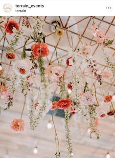 an arrangement of flowers hanging from the ceiling in a room with lights and string decorations