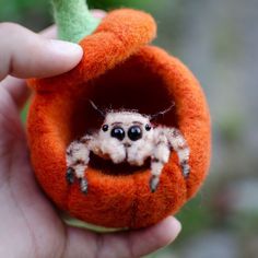 a hand holding a tiny spider in a pumpkin