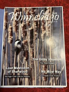 a magazine with an image of a bird in the middle of some tall reeds