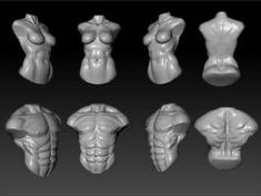 six different views of female torsos in white strong, muscular and unshapped poses