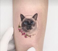 a black and white cat with blue eyes in a circle tattoo on the right leg