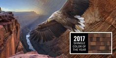 an eagle is flying over the edge of a cliff with mountains in the background and text that reads, 2017 shingle color of the year