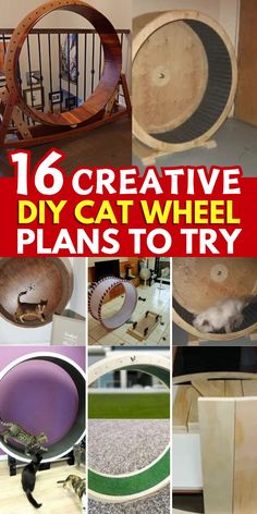 16 creative diy cat wheel plans to try and make them look like they're out of wood