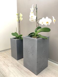 two cement planters with white flowers in them