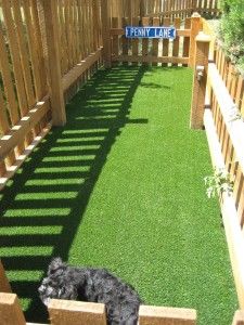 a black dog laying on top of a lush green field next to a wooden fence