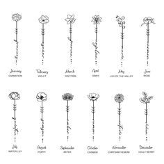 the different types of flowers that are in each flower arrangement, from top to bottom