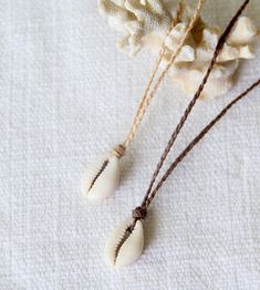 two white seashells sitting on top of a table next to some brown string