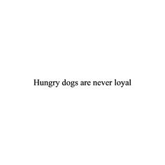 the words hungry dogs are never royal on a white background with black text below it