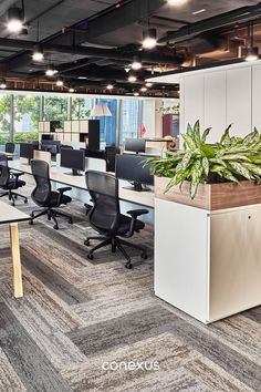 an office with desks, chairs and plants in the middle of the flooring