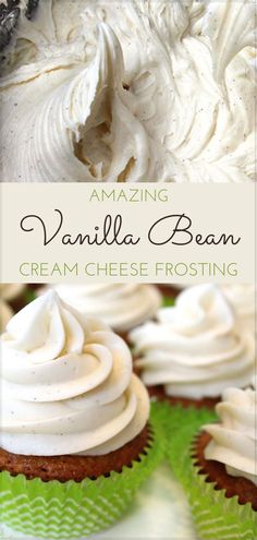 vanilla bean cream frosting on top of cupcakes with the title overlay