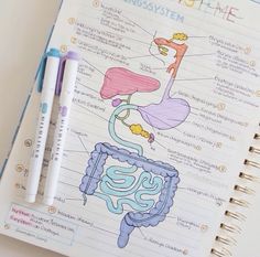 a notebook with an illustrated diagram of the human body on it and two pens next to it