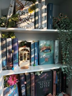 a book shelf filled with lots of books next to a potted plant on top of it