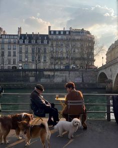 two people are sitting on chairs with their dogs by the water and buildings in the background