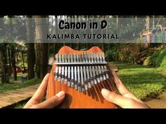 someone holding up a wooden instrument in front of some trees and grass with the words canon in d on it