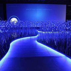 an illuminated walkway in front of a large screen with purple flowers on it and blue lights at the end