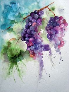 watercolor painting of grapes on white paper