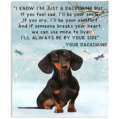 a dachshund dog sitting in the snow with a poem written on it