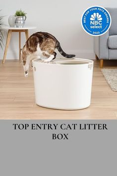 the top entry cat litter box is open and there is a cat drinking out of it