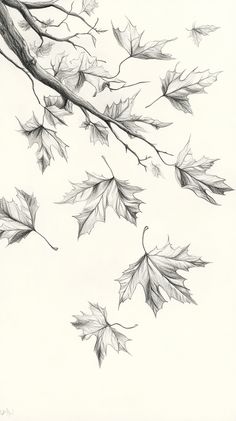 a pencil drawing of leaves on a tree branch