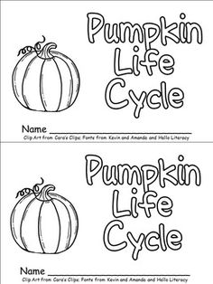 pumpkin life cycle worksheet for kids to practice their handwriting and coloring skills