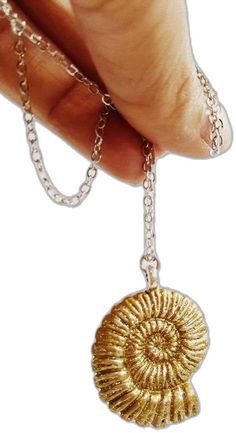 a hand holding a gold shell charm on a chain