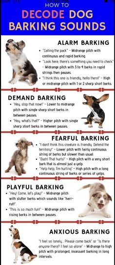 a poster with instructions on how to use the dog's barking sounds for dogs