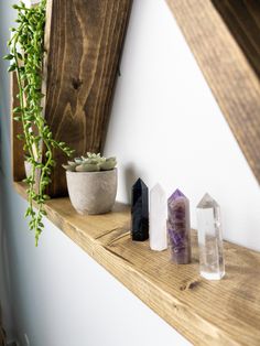 some rocks are sitting on a shelf next to a potted plant