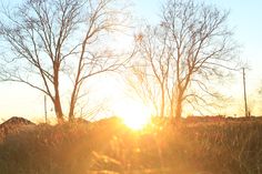 the sun is setting behind some bare trees in an open field with no leaves on it